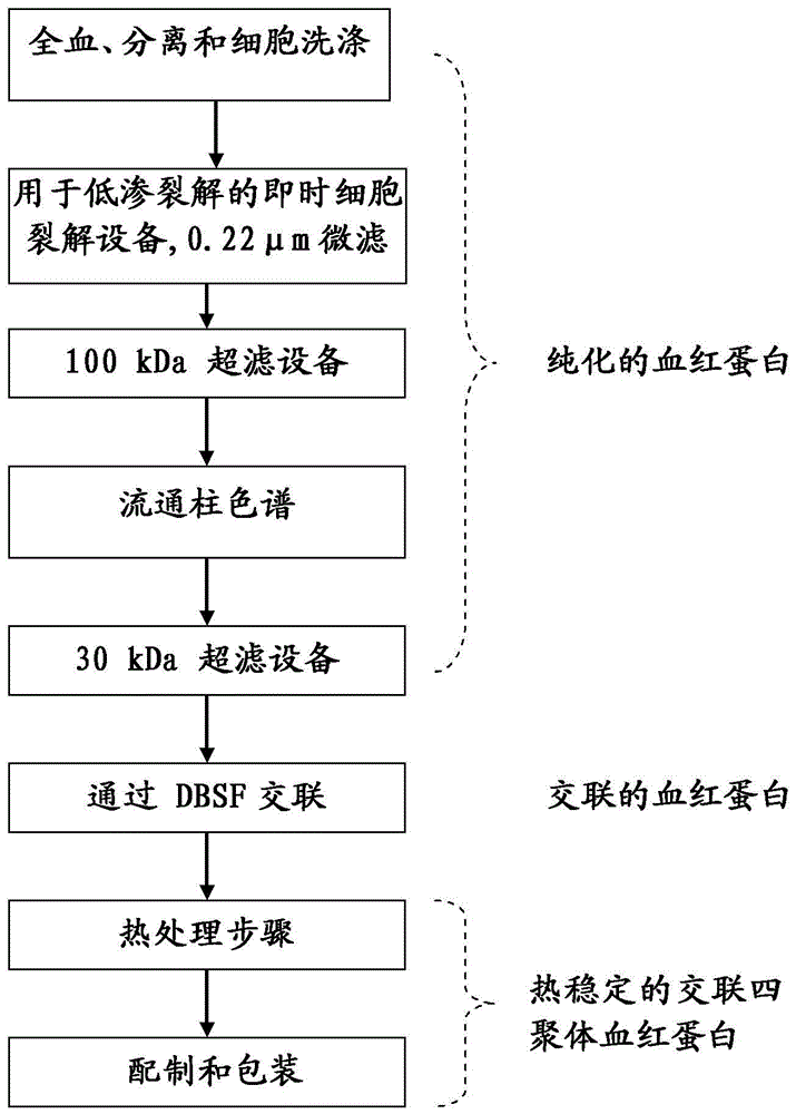 Pharmaceutical compositions containing thermally stable oxygen carriers for different therapeutic applications