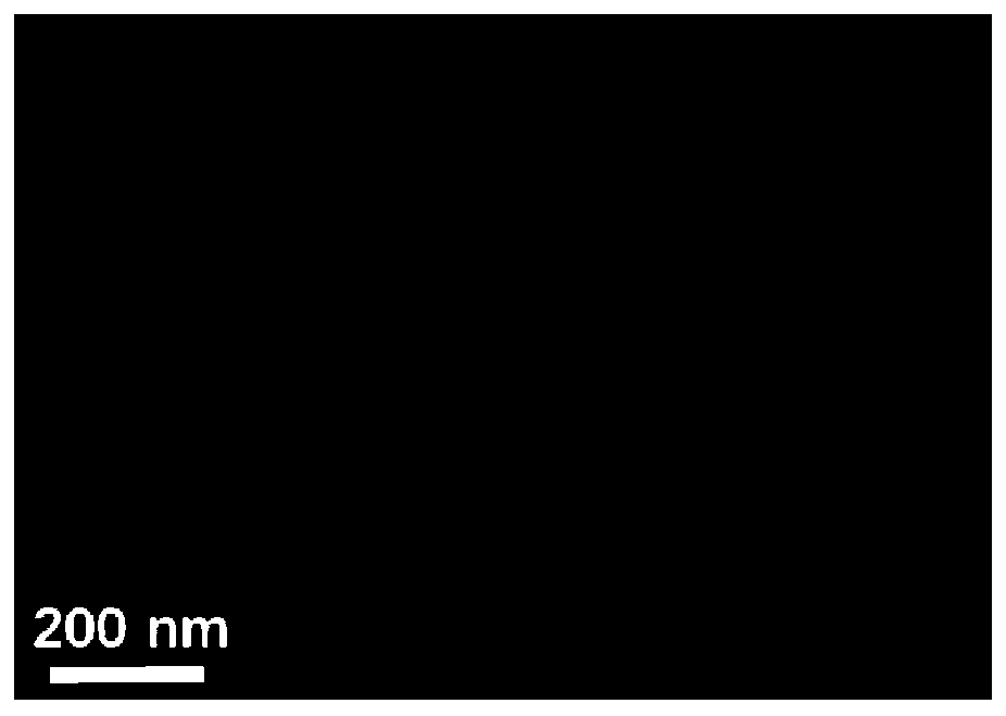 Preparation method of bismuth quantum dot material growing in mesoporous silica nanoparticles