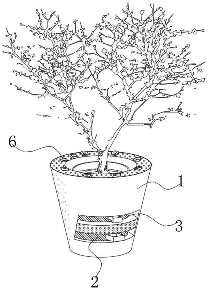 Potted chimonanthus praecox soilless culture device