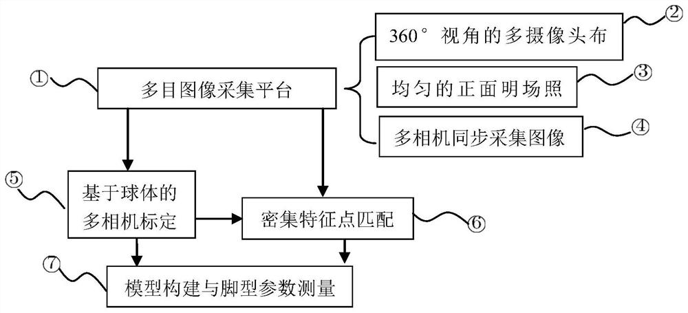 Method, system and medium for three-dimensional measurement of foot shape based on multi-eye stereo vision based on color coding