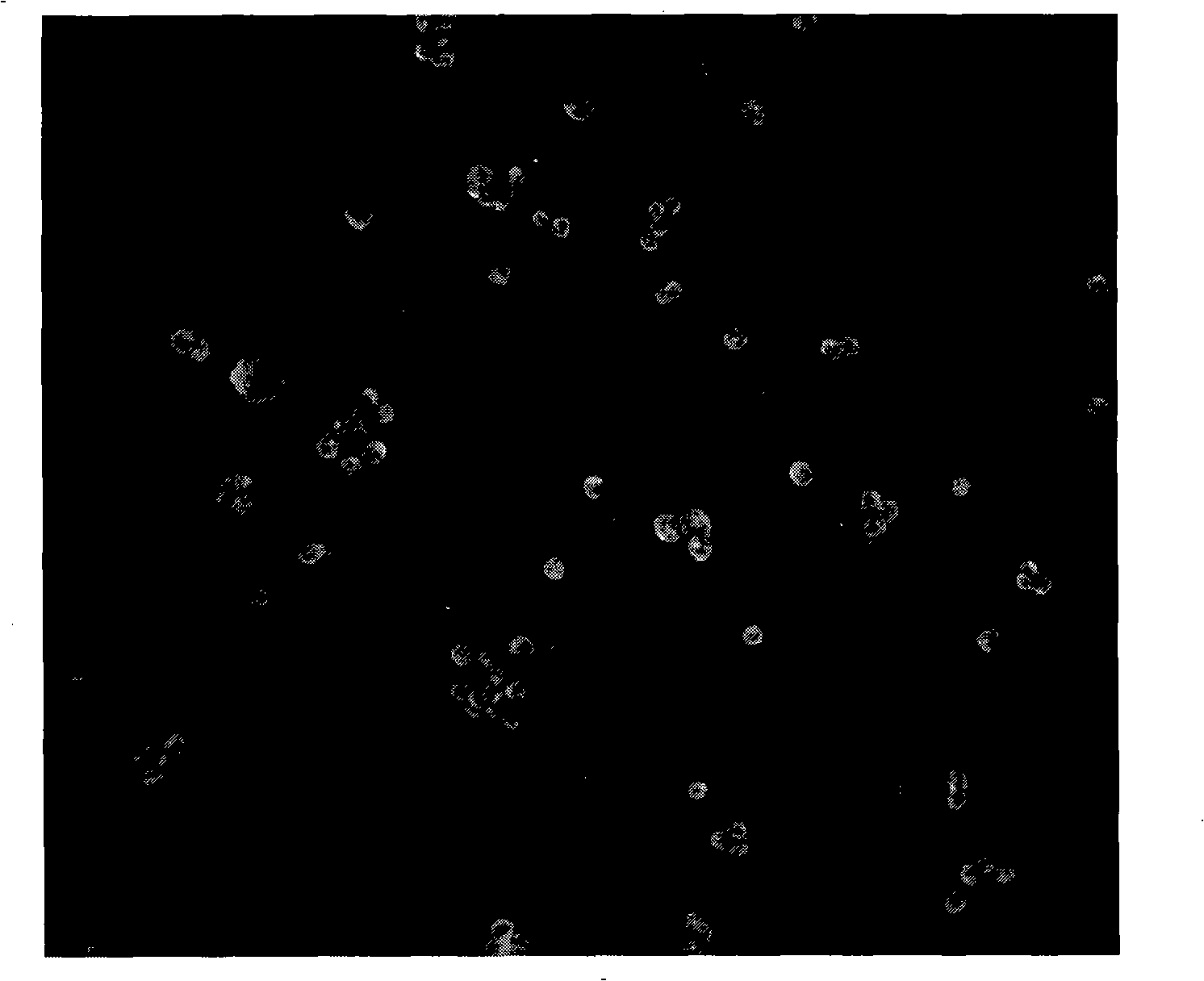 Non-blood serum low density culture medium for animal cell and use thereof