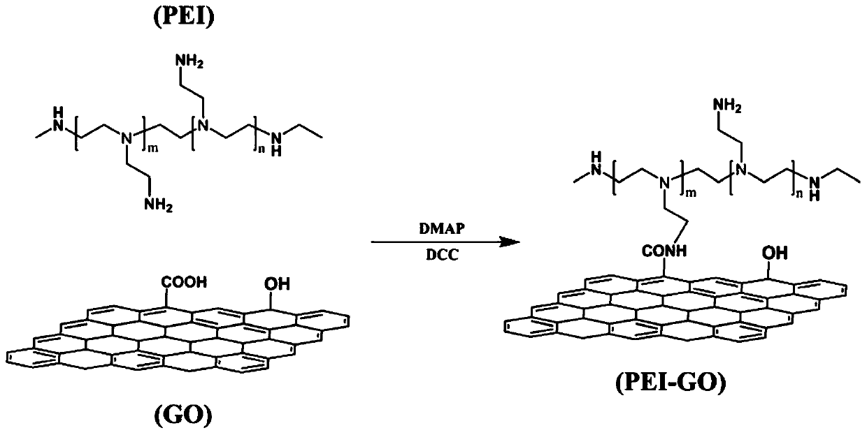 Polyethylenimine modified graphene oxide and epoxy nano composite material thereof