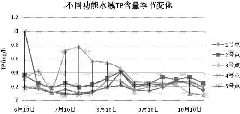 Pond ecology-based industrialized circulating water culture and purification system