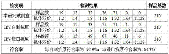 Preparation method of sensitized chicken erythrocyte as well as IBV (Infectious Bronchitis Virus) detection kit