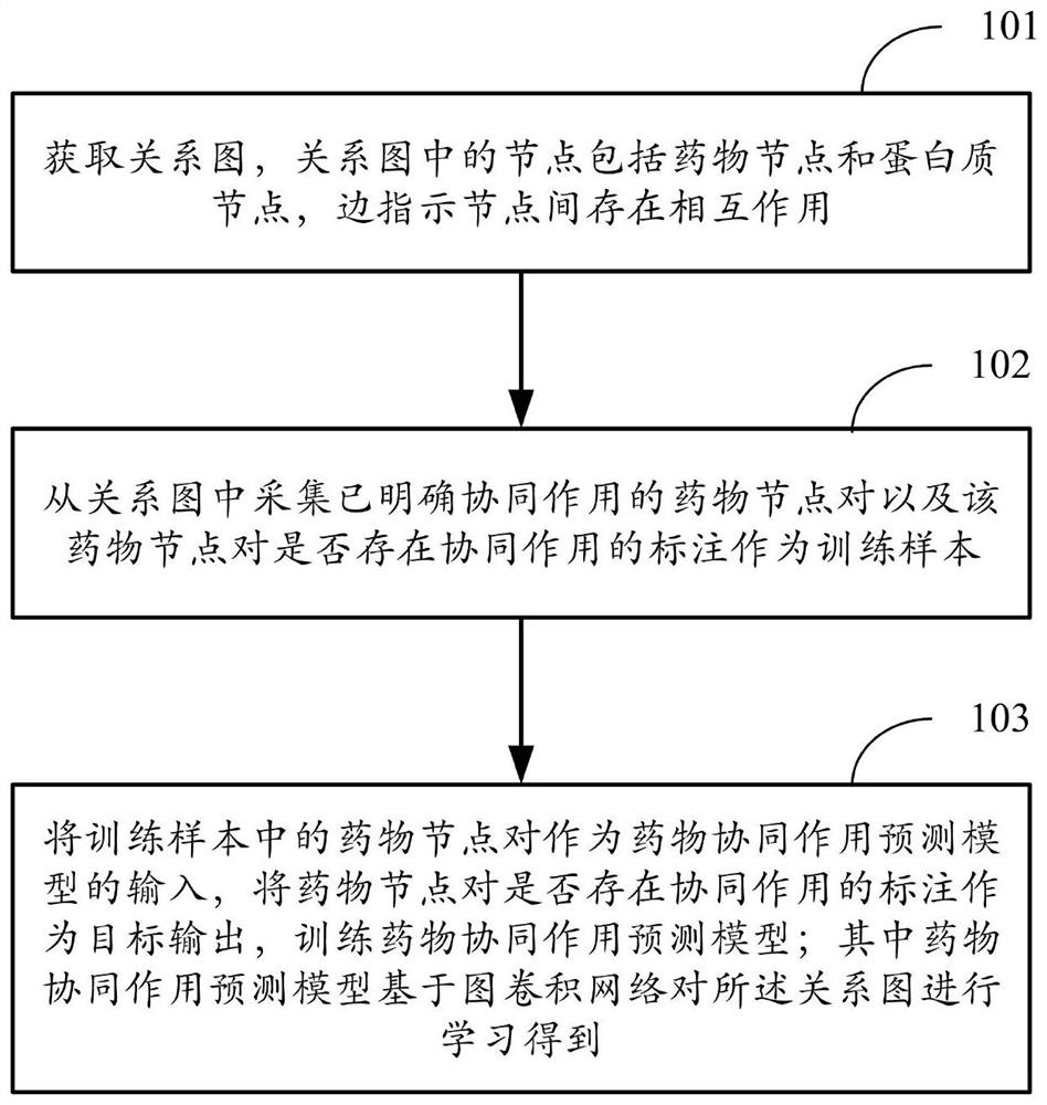 Method for establishing drug synergistic effect prediction model, prediction method and corresponding device