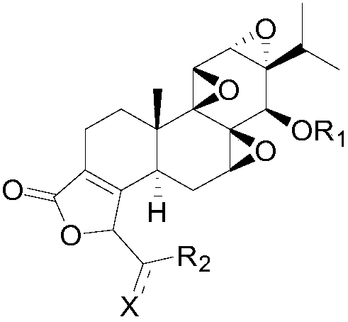 C19-acylated triptolide methyl derivative