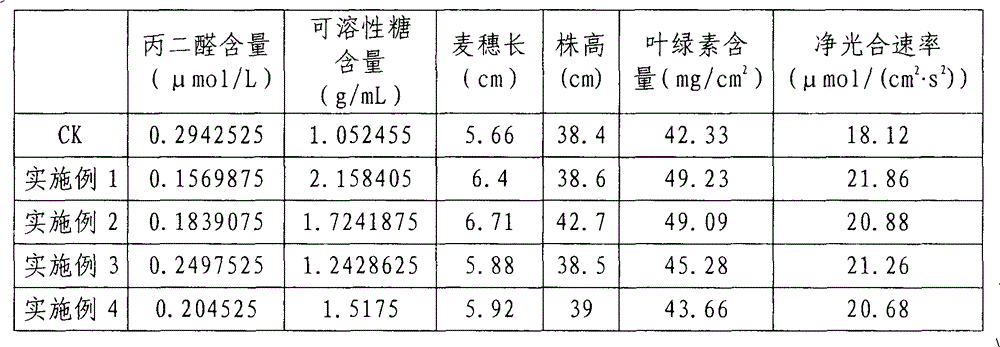 Preparation for promoting growth and development of wheat in weak light environment and preparation method thereof