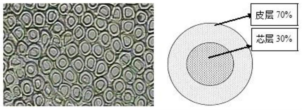 Preparation process of cool quick-drying composite fibers and fabric