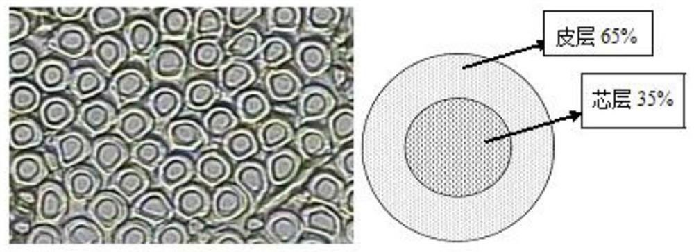 Preparation process of cool quick-drying composite fibers and fabric