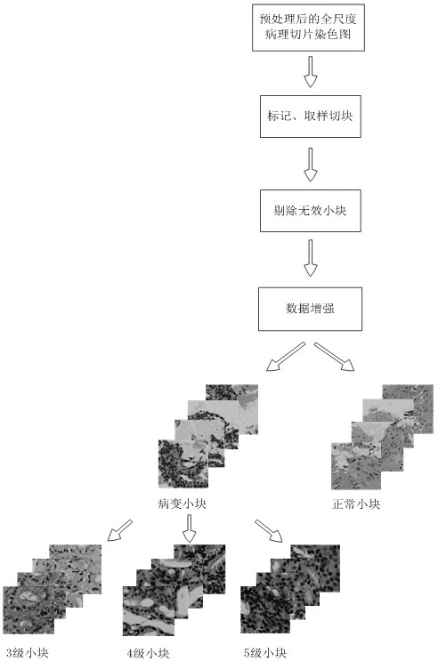 Rapid diagnosis and scoring method for full-scale pathological slices based on deep learning