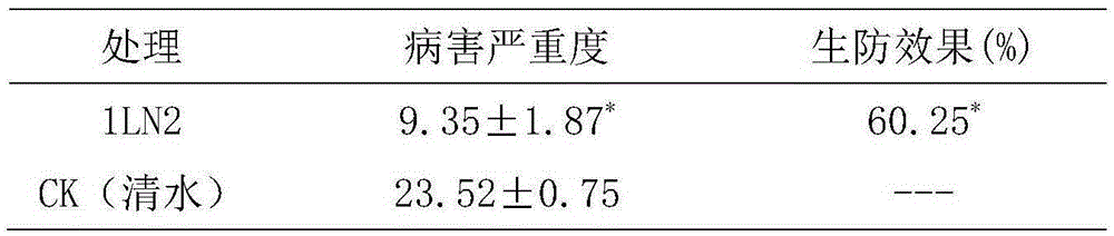 Strain 1LN2 for preventing and treating rice sheath blight disease and application of strain 1LN2