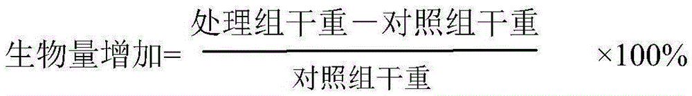 Strain 1LN2 for preventing and treating rice sheath blight disease and application of strain 1LN2