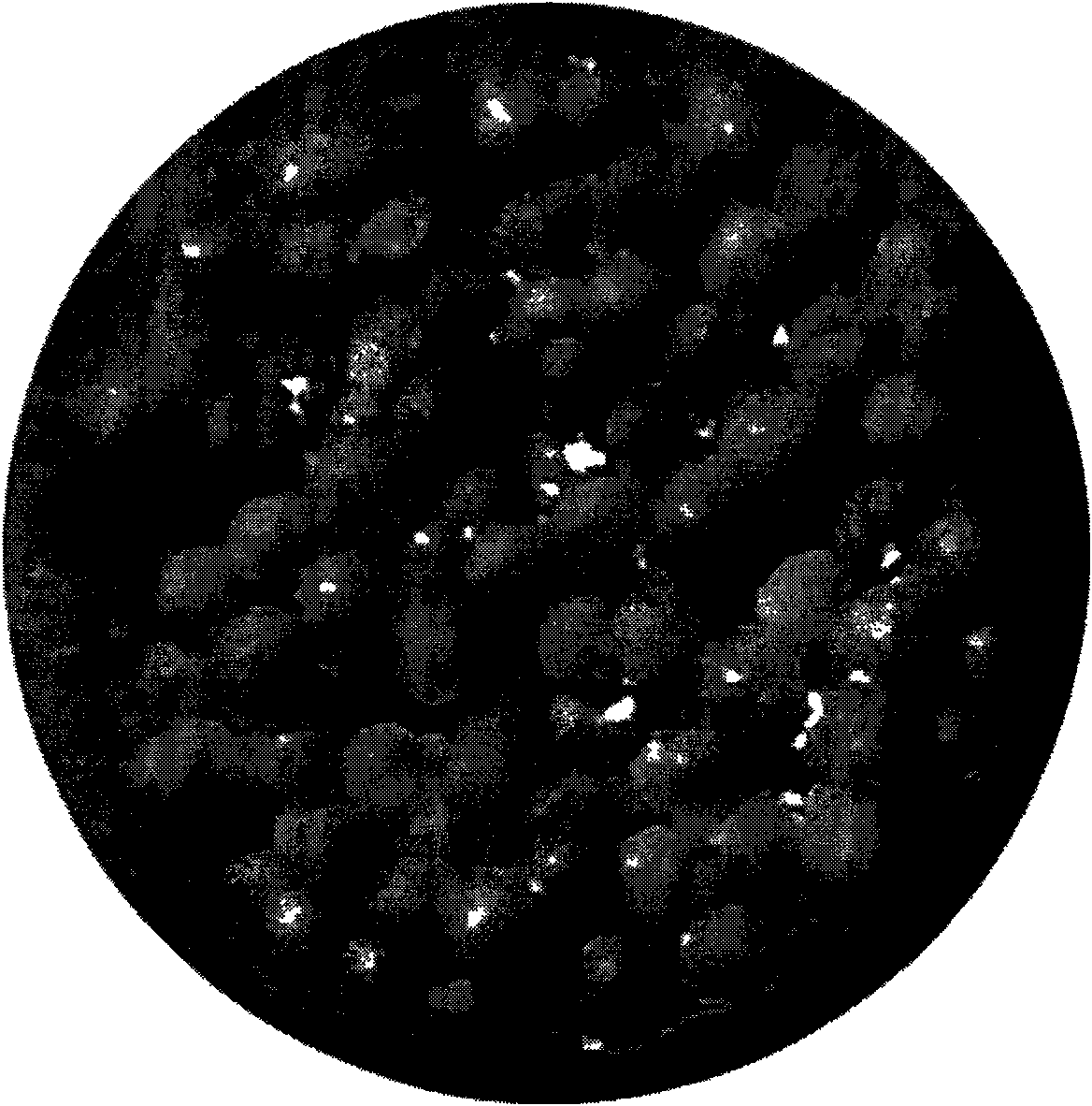 Preparation method of artificial bone scaffold of porous bioceramic microspheres