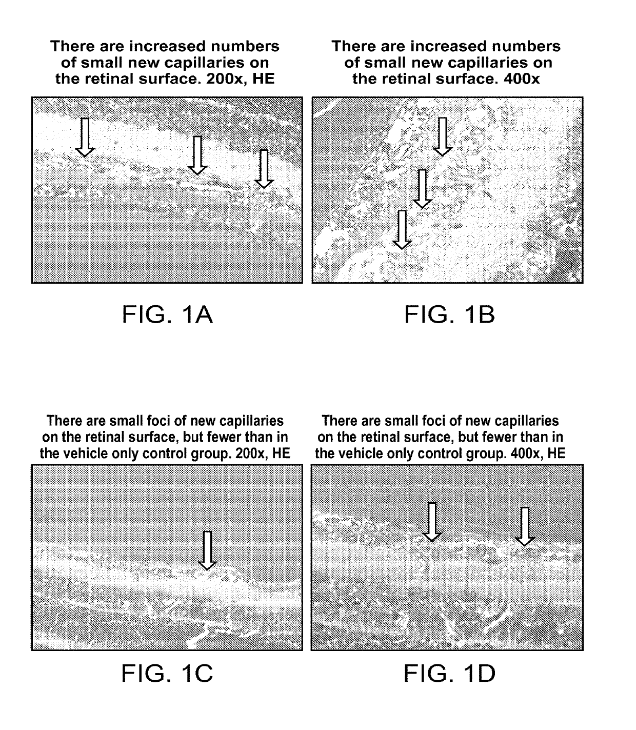 Ophthalmic compositions of rifamycins and uses thereof