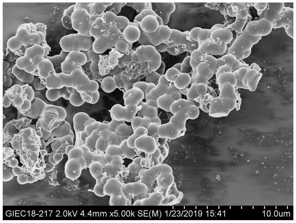 A fluorescent blotting membrane for in situ visual detection of root exudates and its preparation and application