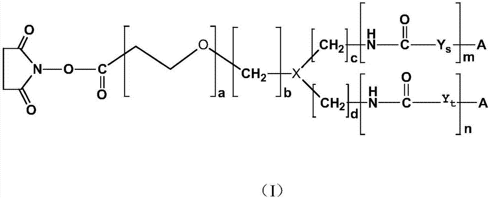 Isoluminol derivative and preparation method and application thereof