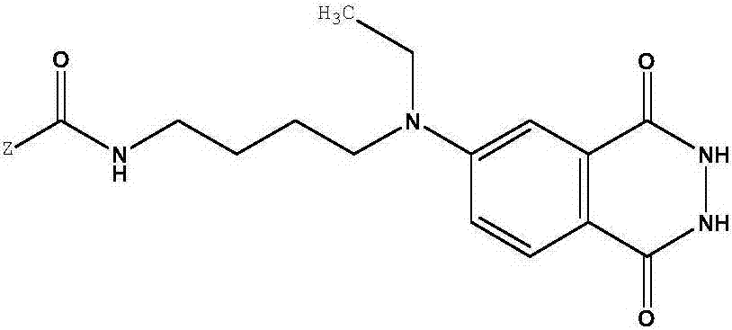 Isoluminol derivative and preparation method and application thereof