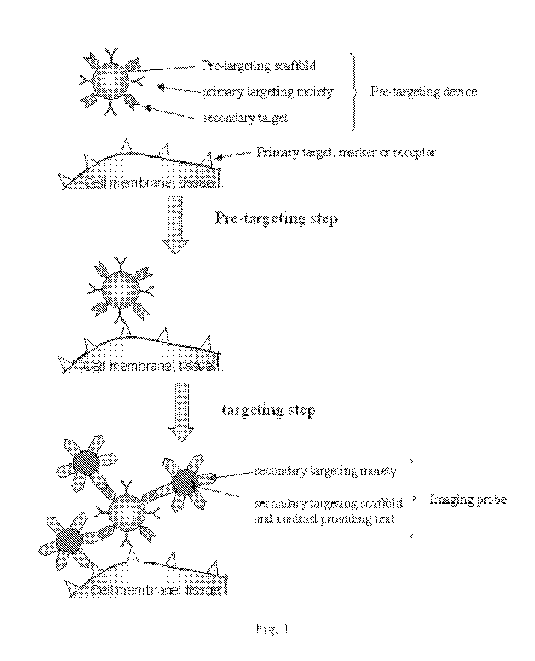 Pretargeting kit, method and agents used therein