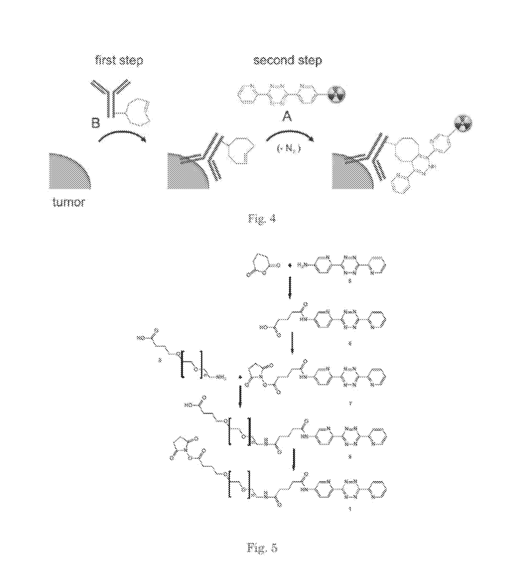 Pretargeting kit, method and agents used therein