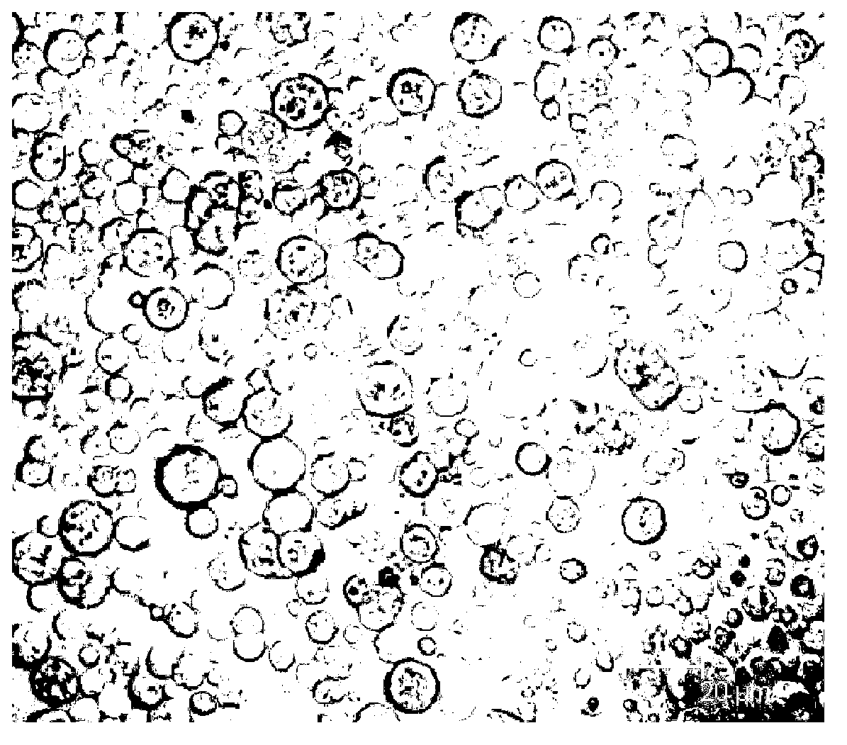 Primary culture and purification method of intestinal epithelial cells of carassius auratus gibelio