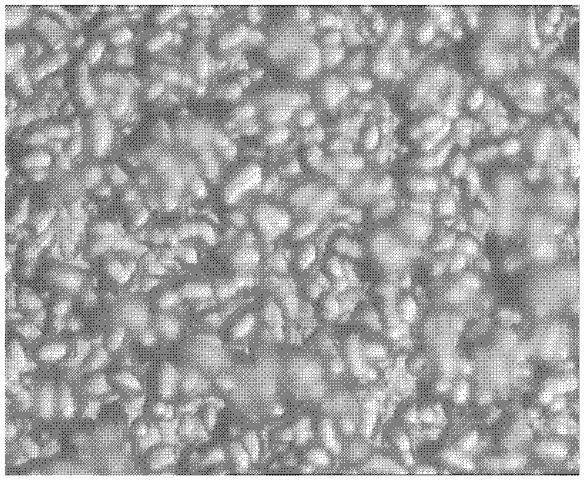 Method for preparing double acid etching textures on polycrystalline silicon surface