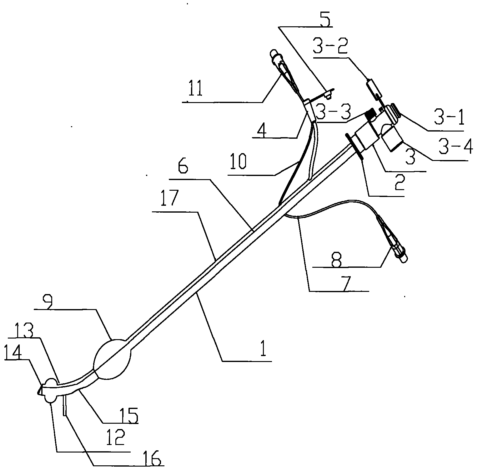 Bronchial catheter with single cavity and double sacs