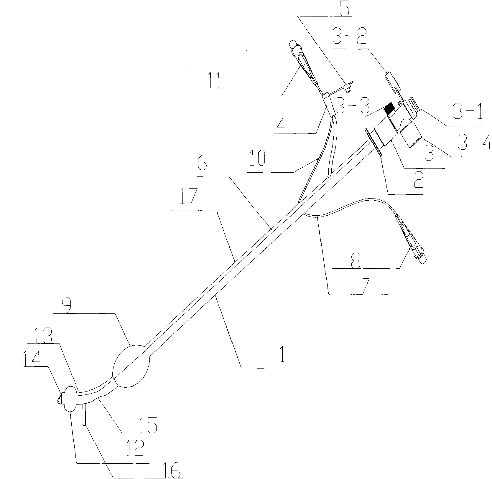 Bronchial catheter with single cavity and double sacs