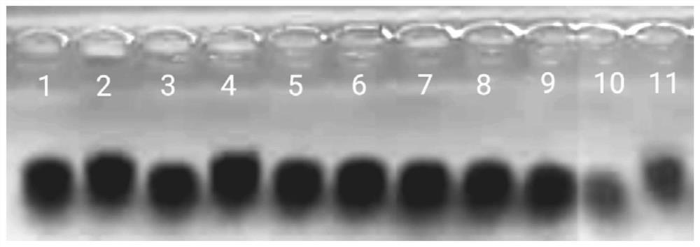 New application and preparation method of hyaluronic acid fragment