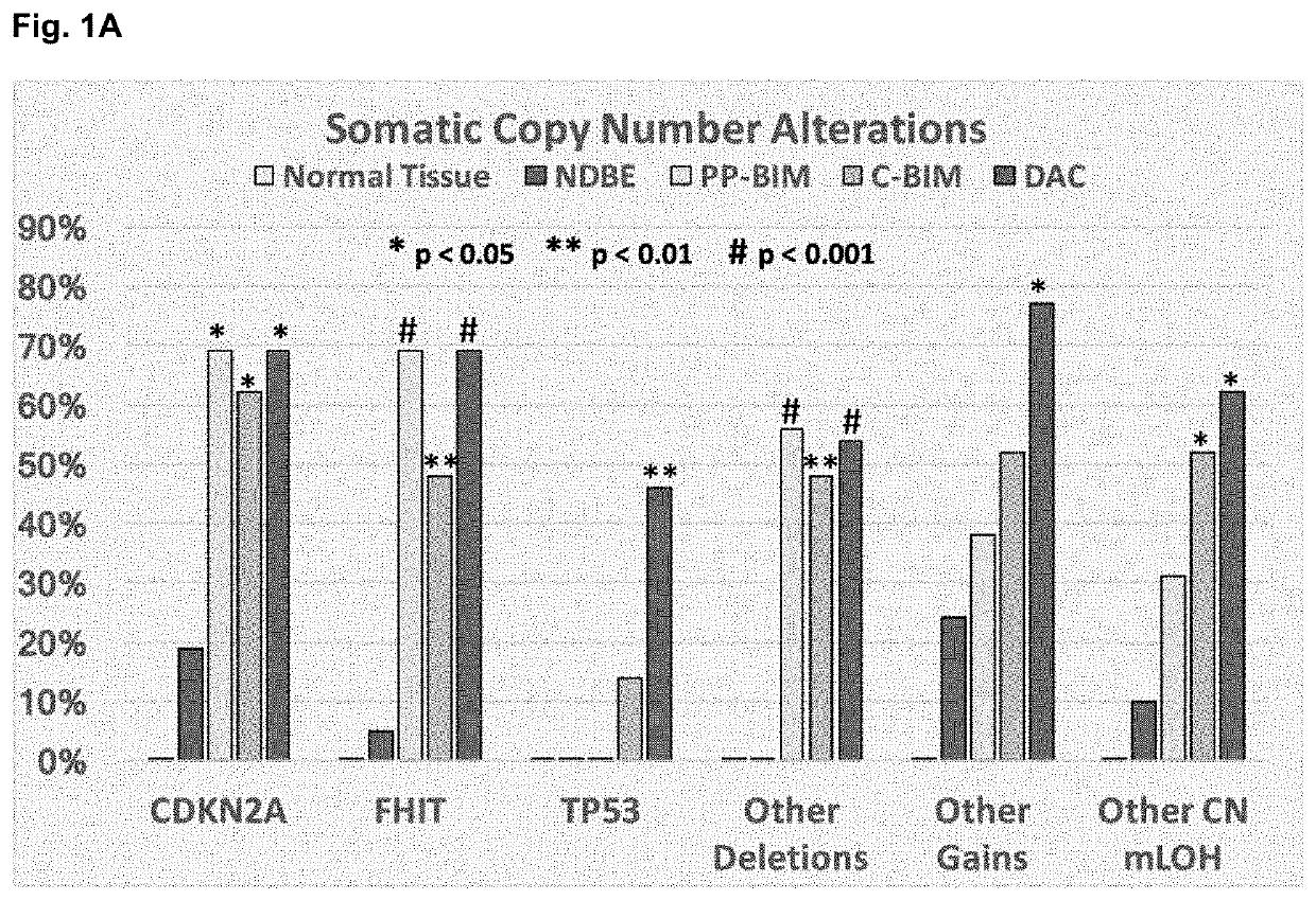 Barrett's esophagus progression to cancer gene panel and methods of use thereof