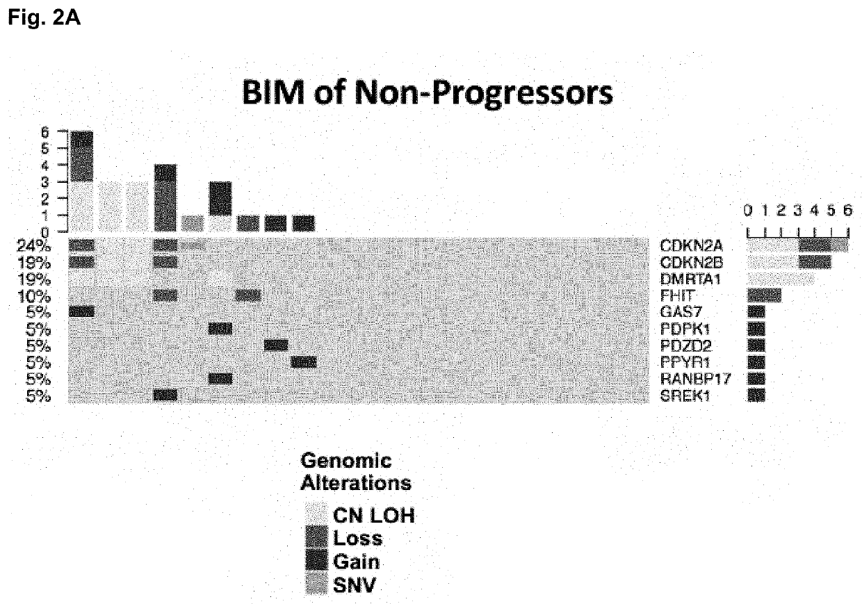 Barrett's esophagus progression to cancer gene panel and methods of use thereof