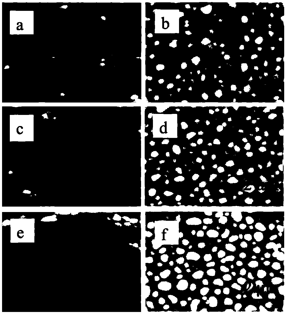 High-stability high-permeability two-phase composite oxygen separation membrane and preparation method thereof