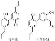 Process for preparing magnolia officinalis total phenol extract by adsorptive separation