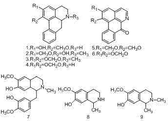 Process for preparing magnolia officinalis total phenol extract by adsorptive separation