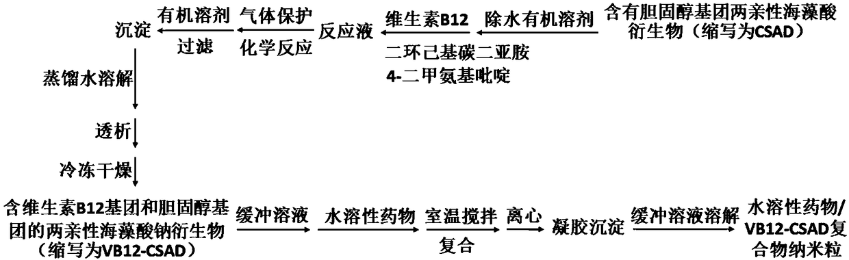 Vitamin B12 group containing amphiphilic sodium alginate derivative and preparation method and application thereof