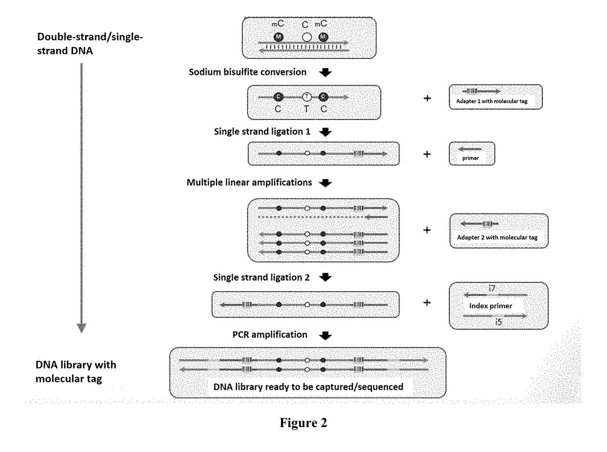 Method for Detecting Methylated DNA