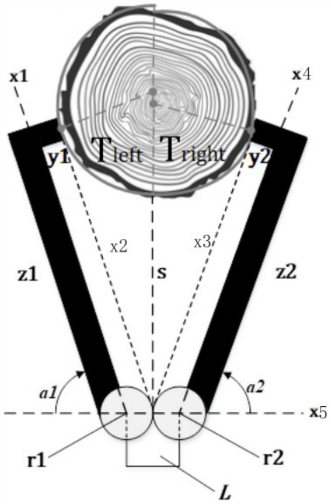 Method and device for measuring asymmetric diameter at breast height of tree