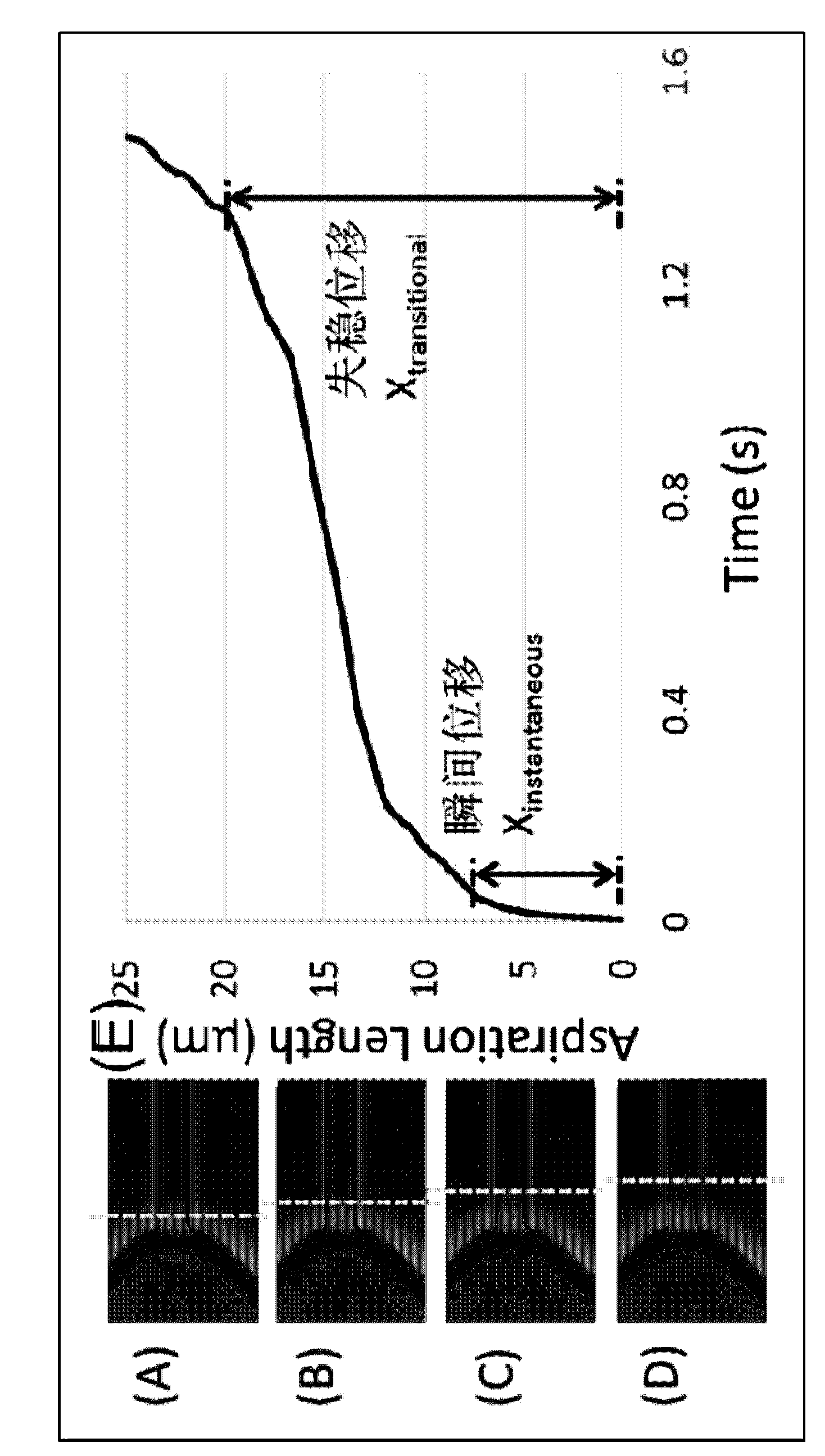 System for simultaneous representation of single cell Young's modulus and cell membrane specific capacitance