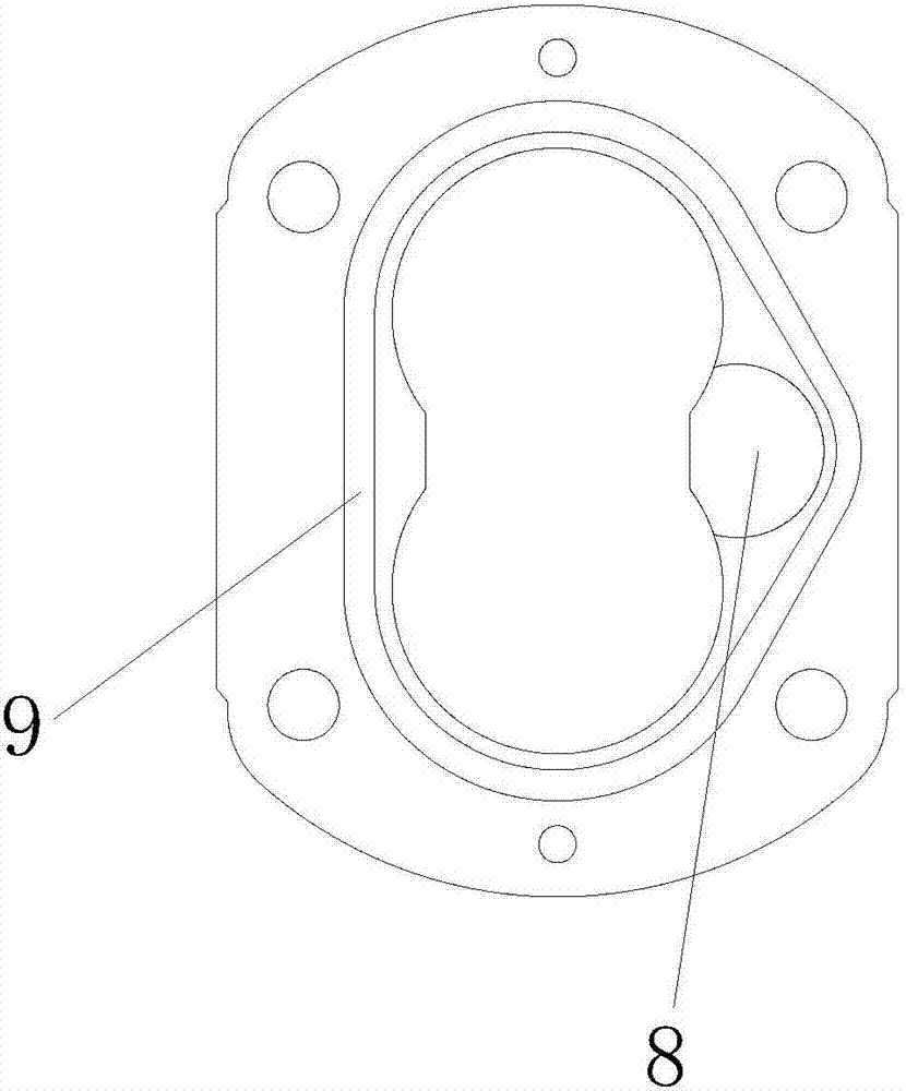 Duplex hydraulic gear pump