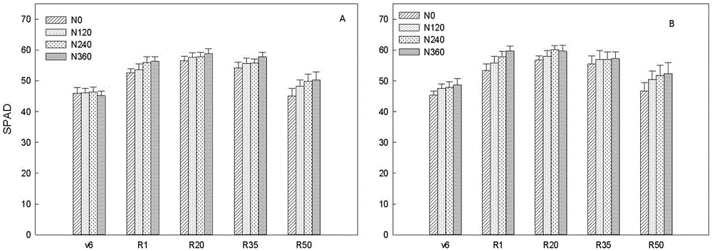 High-yield cultivation method based on corn carbon and nitrogen metabolism difference