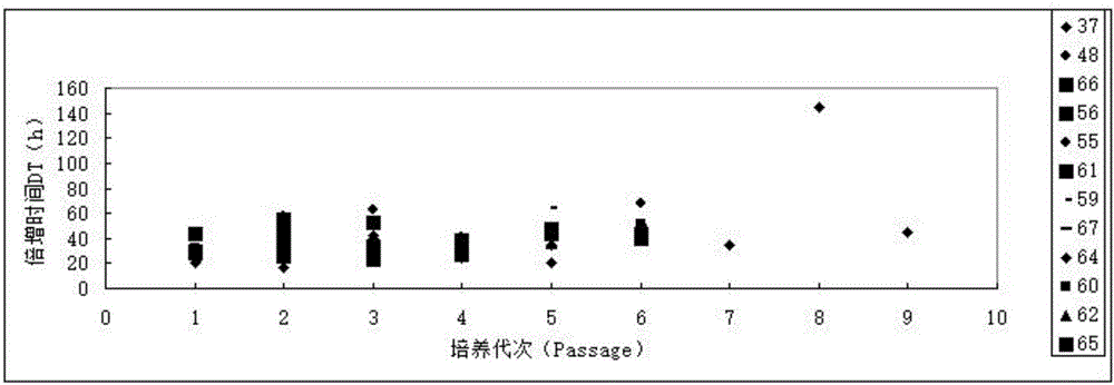 Separation culture method of dental pulp stem cells