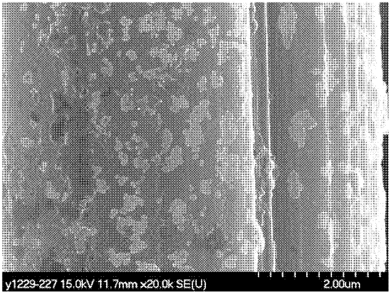 Preparation method of carbon fiber reinforcement grafted by graphene oxide