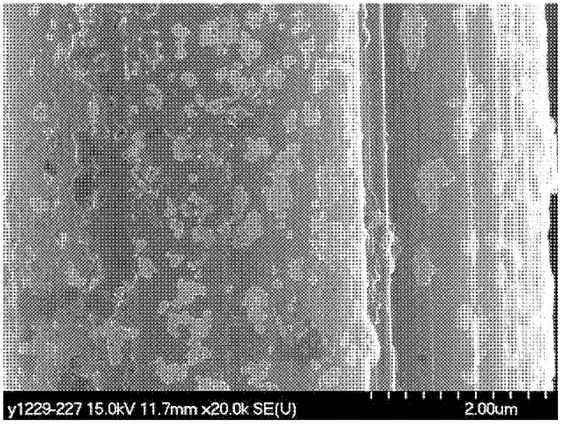 Preparation method of carbon fiber reinforcement grafted by graphene oxide