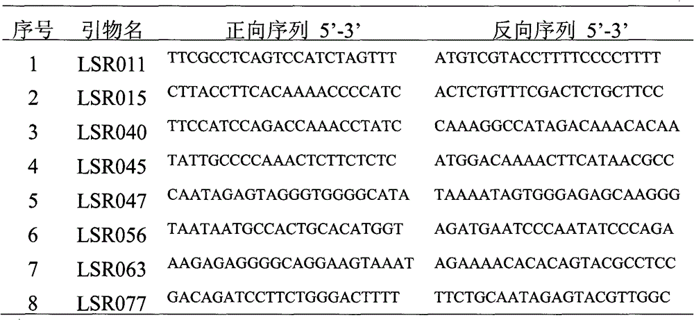 Method for quickly detecting purity of seeds of bottle gourd varieties and kit used by same