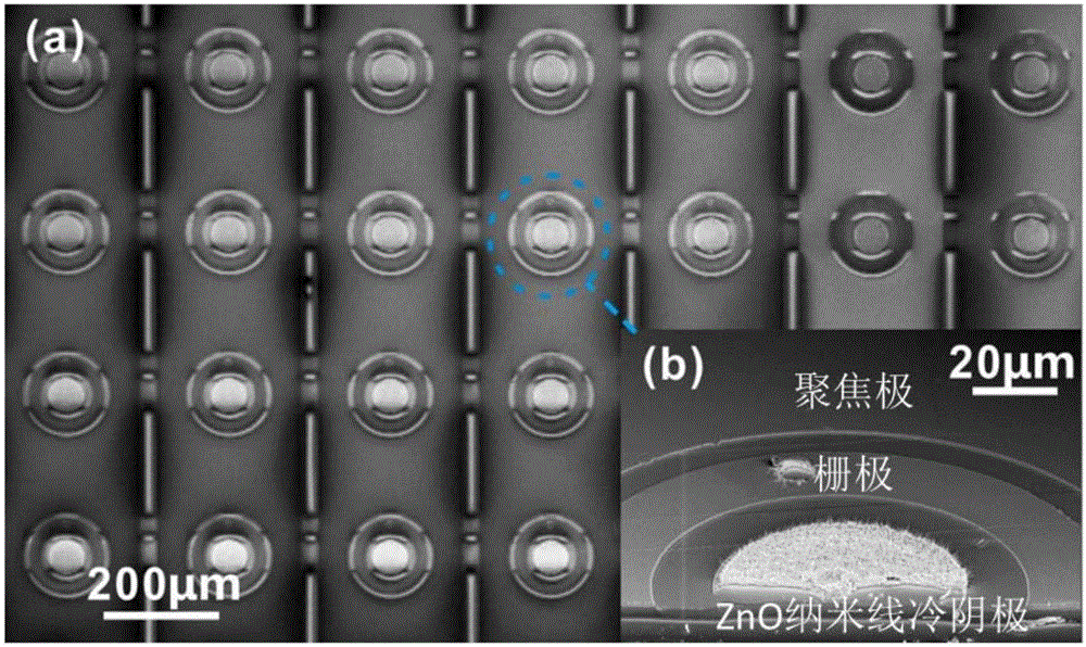 Nanowire cold cathode electron source array with self-aligned focusing structure and manufacturing method thereof