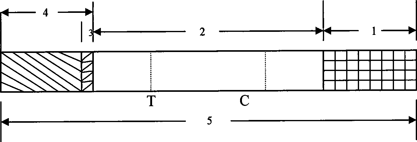 Test paper strip for detecting clostridium difficile toxin A and toxin B colloidal gold, method for making same and applications