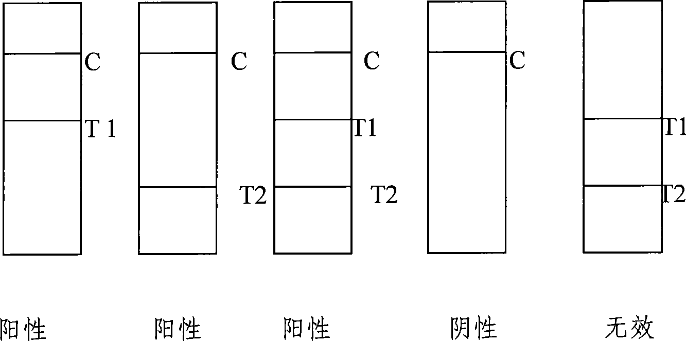 Test paper strip for detecting clostridium difficile toxin A and toxin B colloidal gold, method for making same and applications