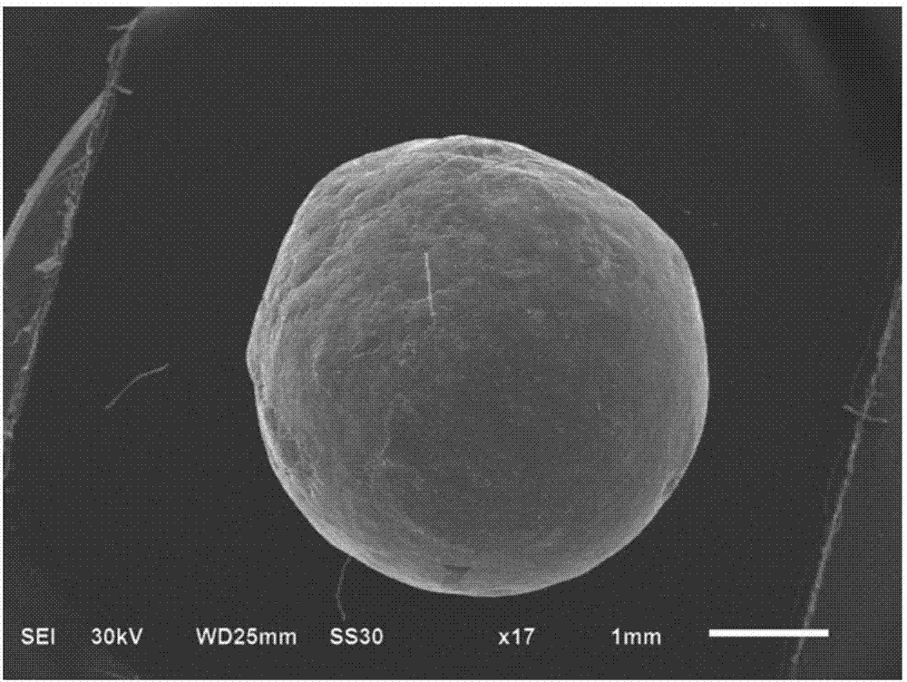 Method for bipolarly and electrochemically synthesizing Janus microsphere of petal-shaped metal organic framework object ZIF-8 by virtue of ionic liquid