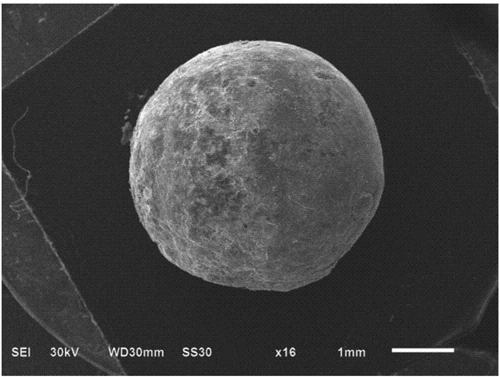 Method for bipolarly and electrochemically synthesizing Janus microsphere of petal-shaped metal organic framework object ZIF-8 by virtue of ionic liquid