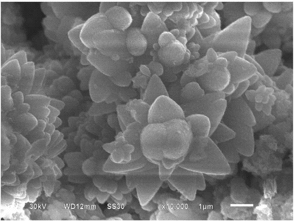 Method for bipolarly and electrochemically synthesizing Janus microsphere of petal-shaped metal organic framework object ZIF-8 by virtue of ionic liquid