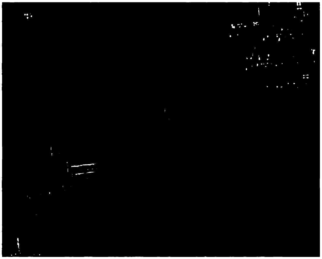 A Rectangular-Like Guided Segmentation Method for Cornfield Remote Sensing Images